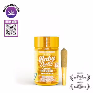 Jeeter- Mango Sherbet baby jeeter Indica