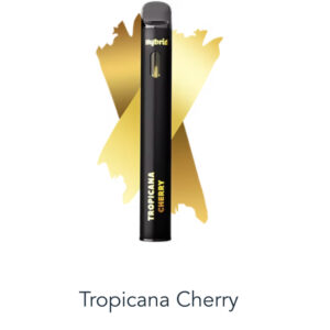 Breeze- Tropical Cherry